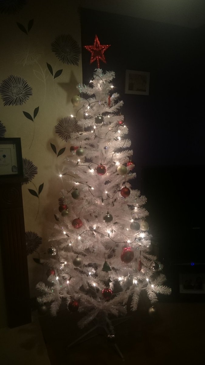 michellerea13's tweet image. #threeweeksandcounting#cantwait#hurryhurrybigman#hohoho#🎅 #