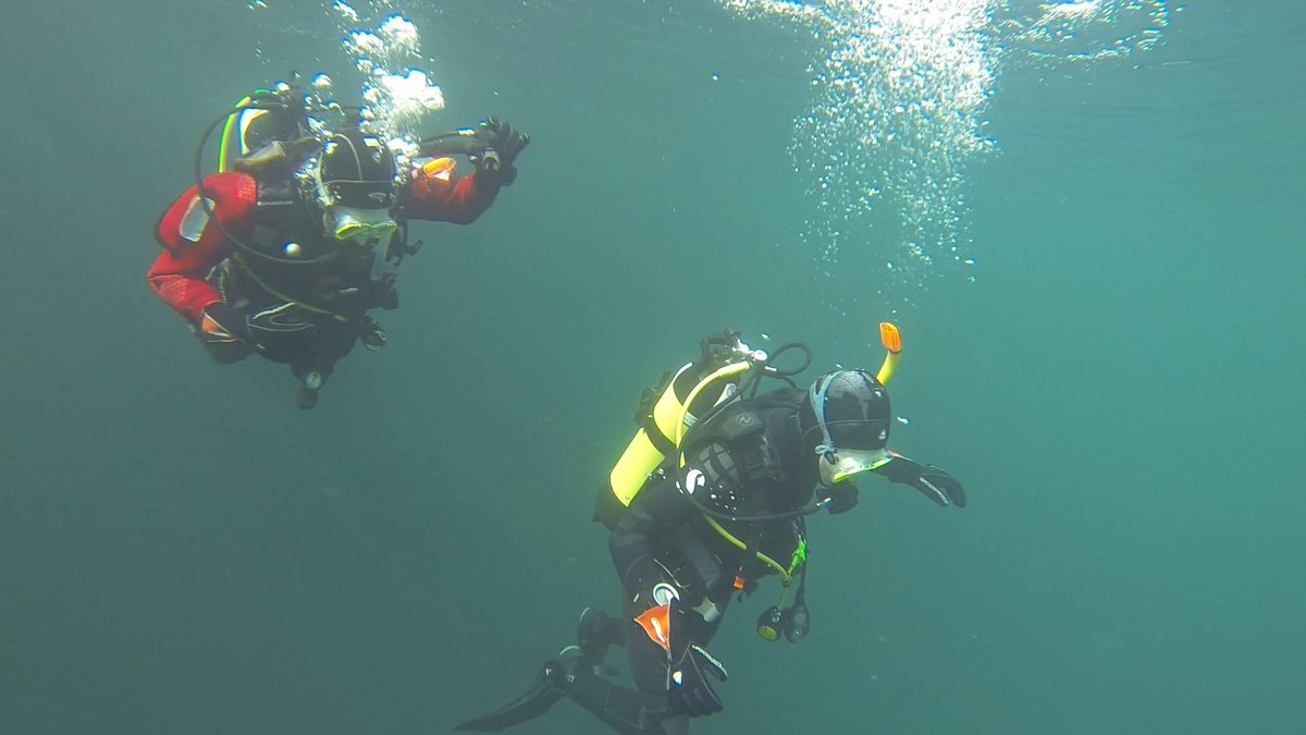 welshdiving's tweet photo. Christmas Scuba taster sessions Newport centre 21/12/2016 10am-12. NISV 22/12/2016 10am-12. To book contact martin@welshdiving.co.uk https://t.co/vV3XZhLI4g