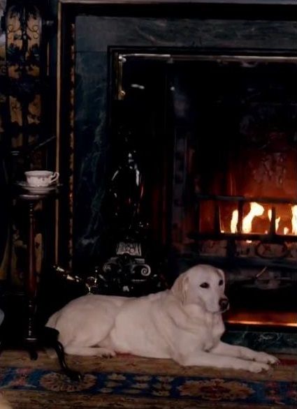 Tuscan Blue Twitter પર 今夜のアイシス 暖炉前でのんびり 伯爵デスクの下の忠犬 火事後は 傷ついたイーディスに付きそって ダウントンアビー Tuscan Blue Twitter પર 今夜のアイシス 暖炉前でのんびり 伯爵デスクの下の忠犬 火事後は 傷ついたイーディスに付きそって ダウントンアビー