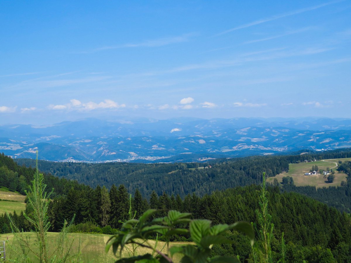johnny_timis's tweet photo. #TJphoto #Grazz #Austria https://t.co/rmOeDdxkkH