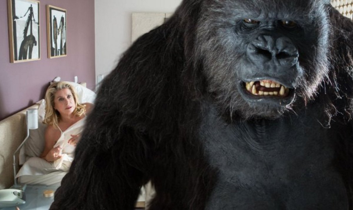 Onze nieuwe website is online! Heb jij het fantastische programma al bekeken? westival-amsterdam.com