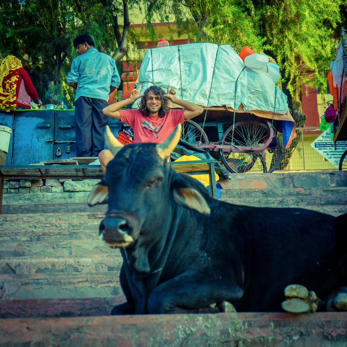 RookieTravelD's tweet photo. #rishikesh #india #ramjhula #cow #streetlife #travel #travelmoments #memories #photobomb #traveldiaries #rookietraveldiaries https://t.co/Zq1AapzTtH