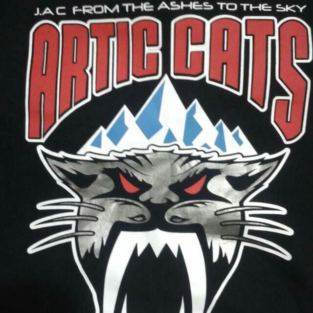 artic_cats's tweet photo. El de ayer fue una derrota muy dura, lo tuvimos cerca. Felicitar a @LobosDePoniente por su buen partido. Nos levantaremos!! #ArticCats 😼 https://t.co/q8JgplV1Be