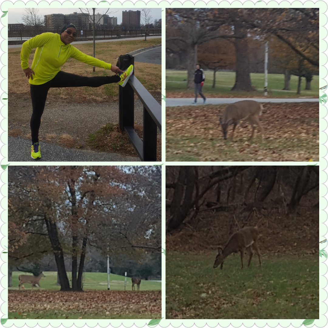 MsJoyRuns's tweet photo. 4 chilly, hilly miles for #starsontherun #earthathon shout out to the 5 deers that joined us on our run 😲. #druidhillpark #runbaltimore https://t.co/XS5QO0AKci