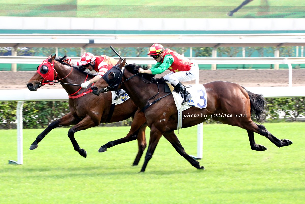 Wallacewanck's tweet photo. #FOREVERACCURATE ridden by #NeilCallan winning race 3 at Shatin today https://t.co/W2mmpMnzS9