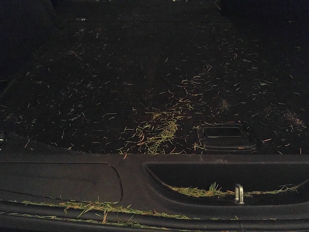 HuntFishTravel's tweet photo. .@ChittendenNate right there with ya...I'll be finding needles in the back of my Jeep for months!
#GoRealOrGoHome https://t.co/evUvTCjxXa