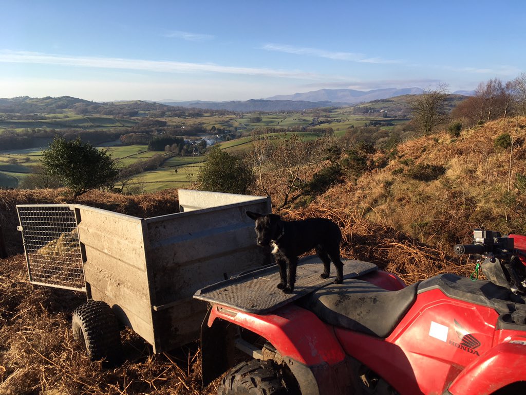 NickBuckley3's tweet photo. Out feeding the cows this morning, beautiful clear views and a crisp frost under foot. #perfect #simluing #Farm365 https://t.co/rJ0NEOtc6M