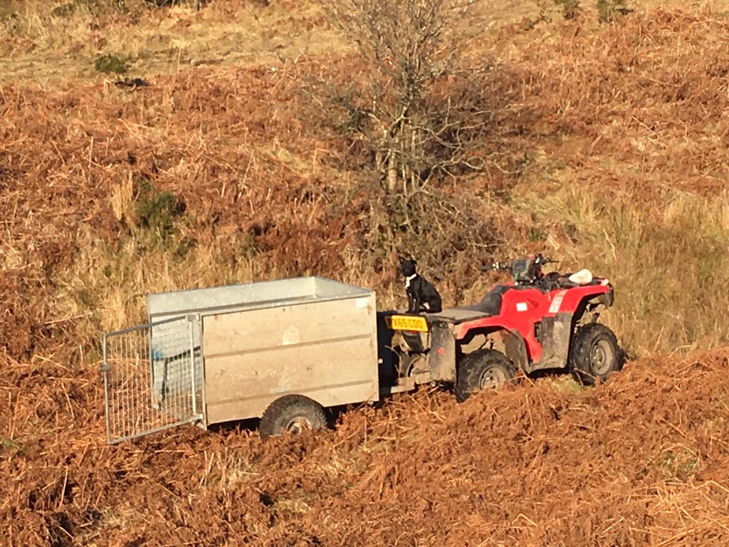 NickBuckley3's tweet photo. Out feeding the cows this morning, beautiful clear views and a crisp frost under foot. #perfect #simluing #Farm365 https://t.co/rJ0NEOtc6M