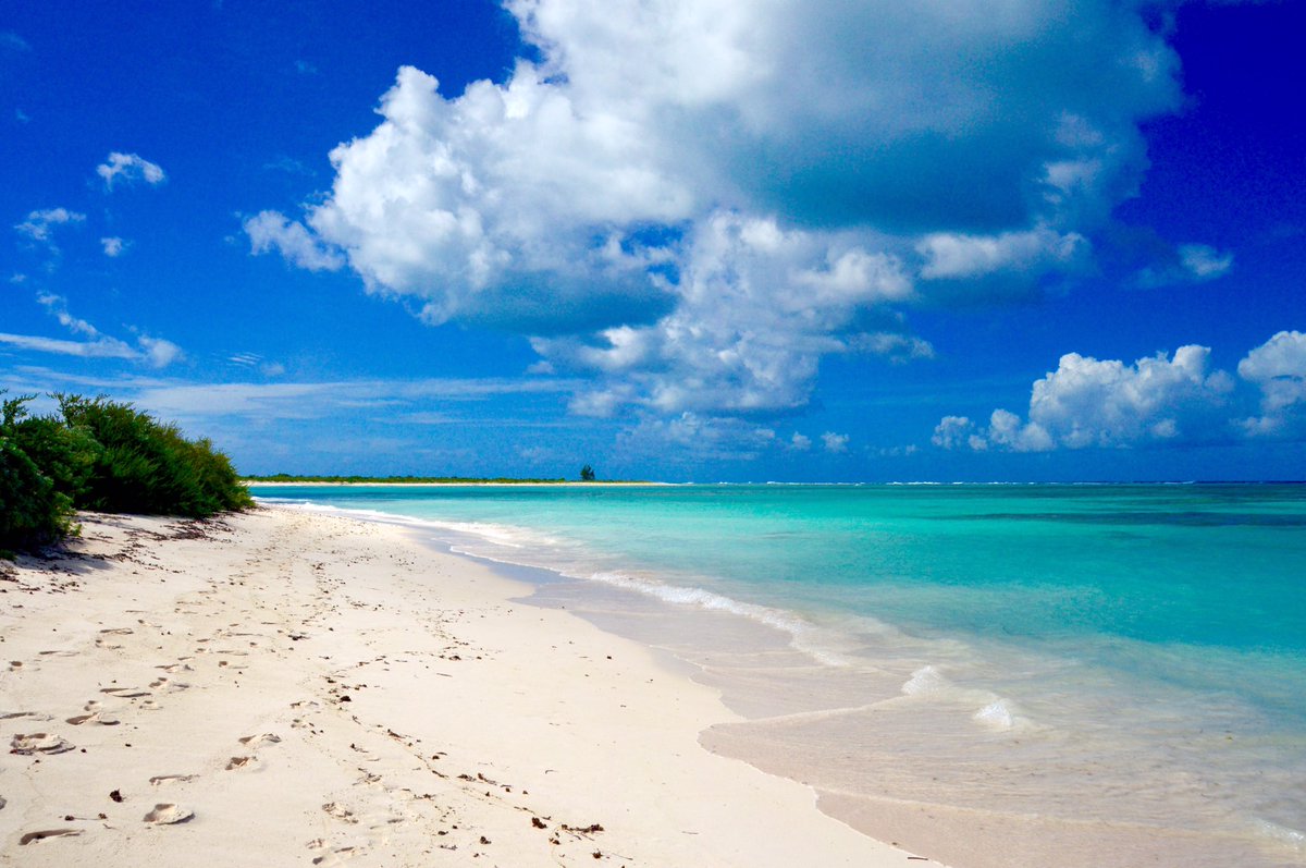 Jeffbuff's tweet photo. #anegada   NUFF SAID! https://t.co/aVfiEDvL86