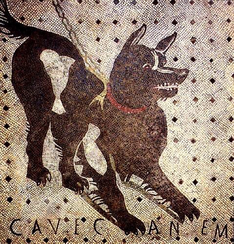 MiC_Italia's tweet photo. È il fedele amico dell'uomo. @pompeii_sites ogni tanto però occorre anche stare attenti #CaveCanem #zoodellemeraviglie #domenicalmuseo https://t.co/AMP1gubST3