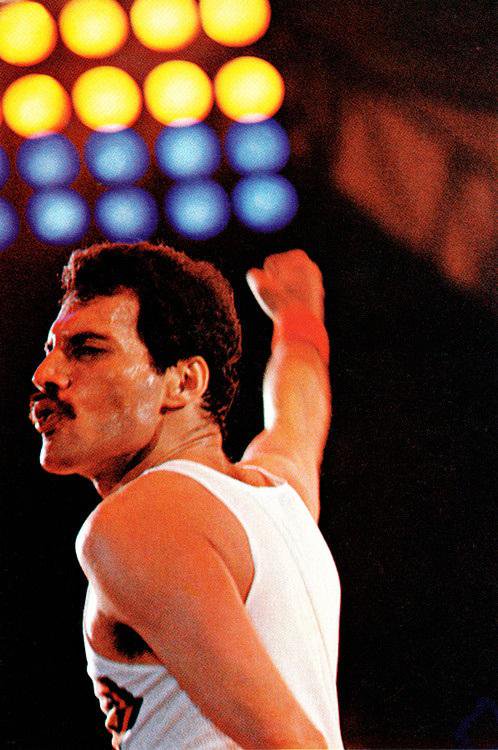 InOnlySevenDays's tweet photo. Happy #QueenSunday to everyone 😄👑 @QueenieOfNorway @QueenFacts1991 @GimmeOneVision @LongoIda @says_queen @Innuendo19 @White_Queenie @kspetz https://t.co/NJmOUEGjHm