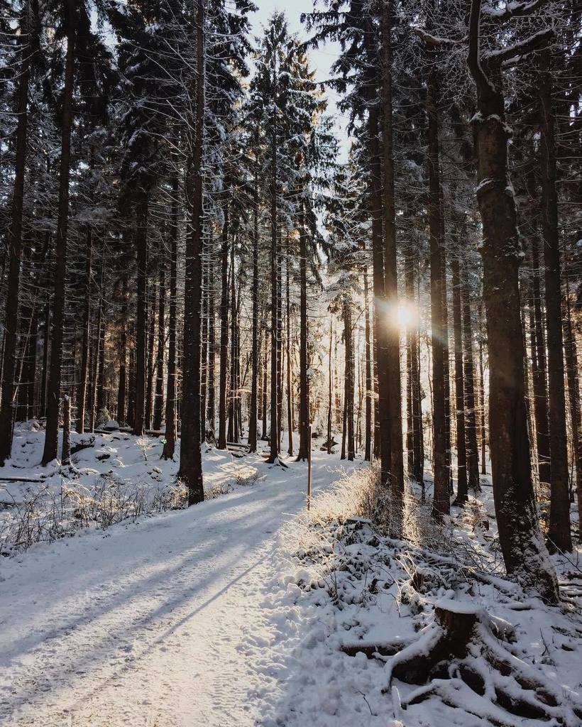 HUNDERTMARK tweet media