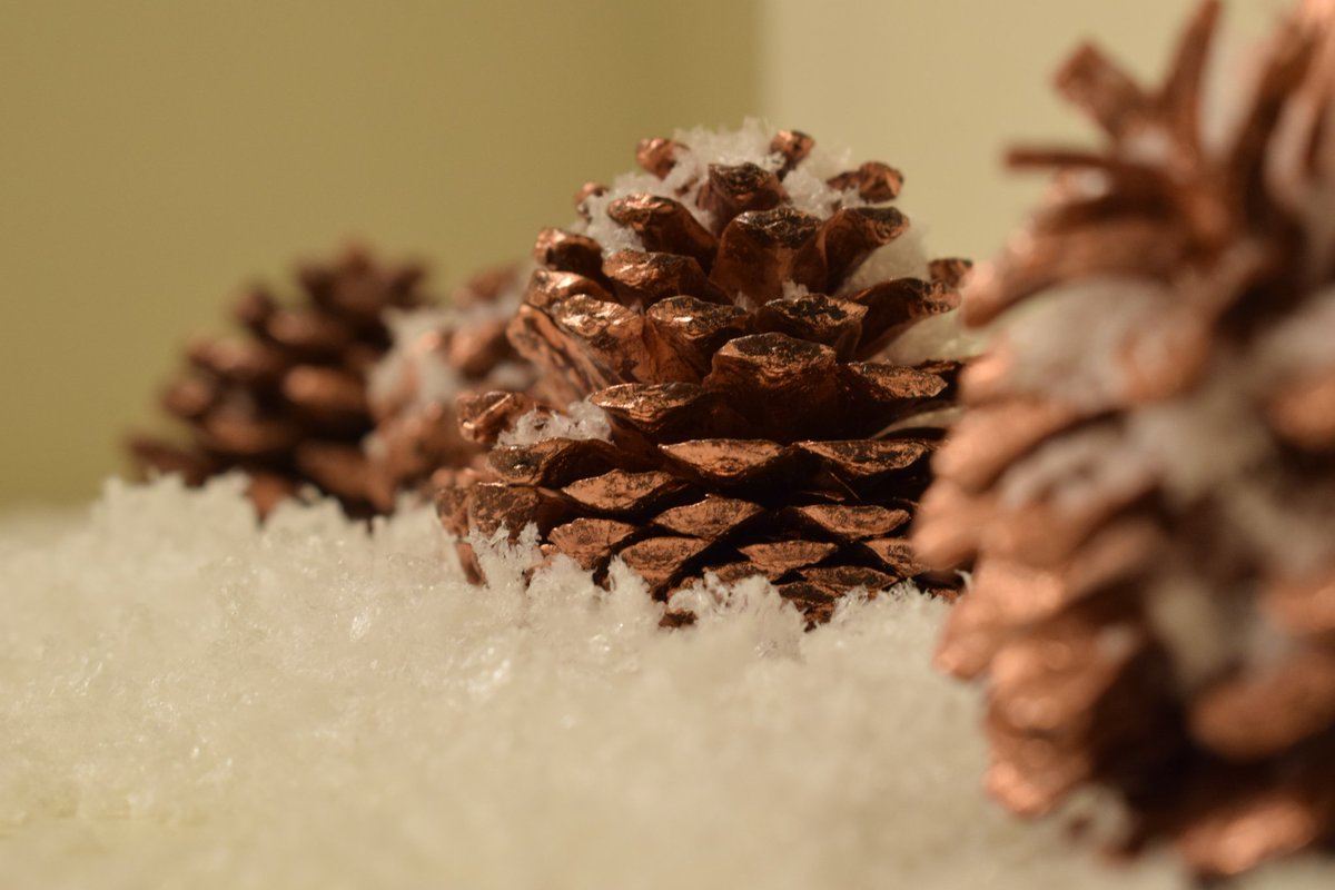 davegardener1's tweet photo. #pinecone #snow #blue red #photography #nikon #christmas @nationaltrust @SaltramHouseNT https://t.co/7jrDaG7z3f