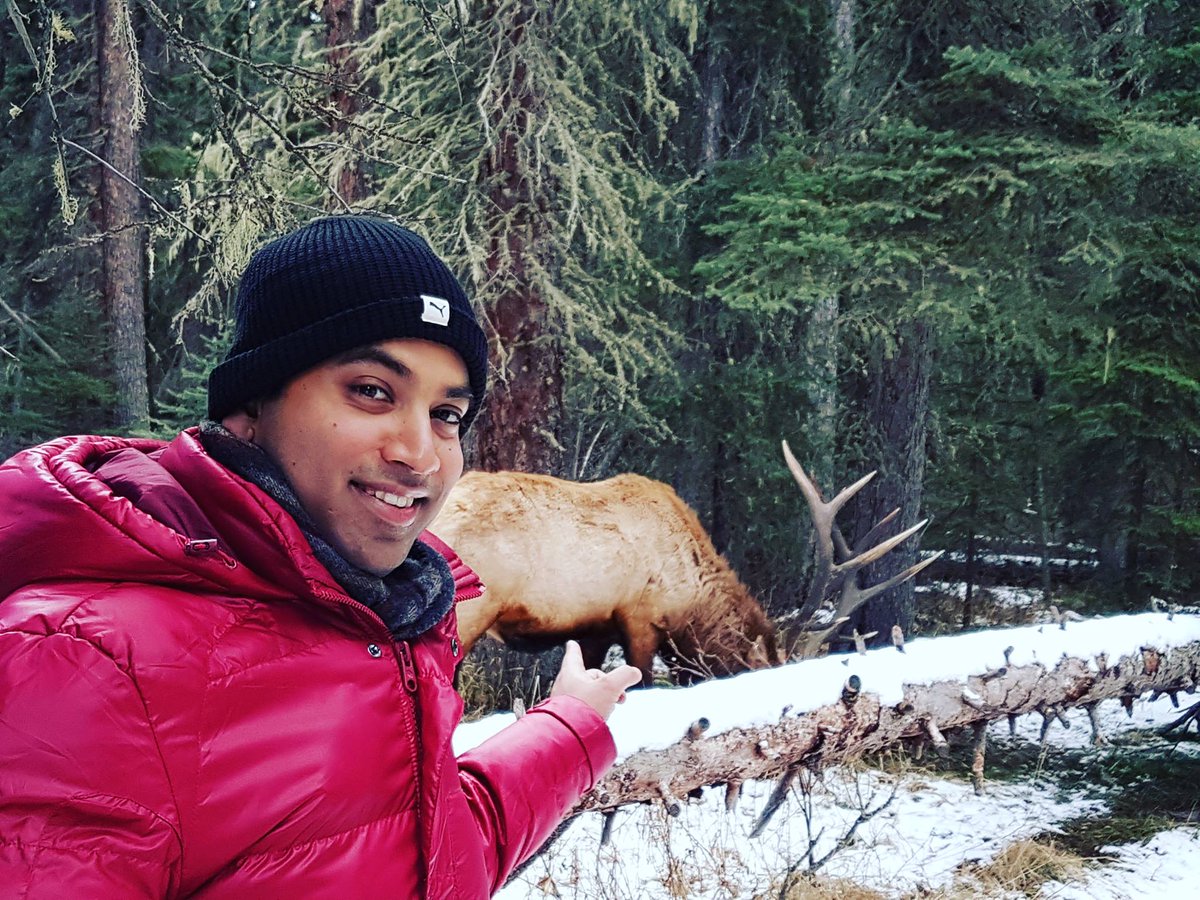 FADS_by_Libin's tweet image. #libin cherian#mountain #climbing #elk #wilderness #wildlife #encounter #respect #cold #snow #mountaintop #rocky #mountains #explorer#forest