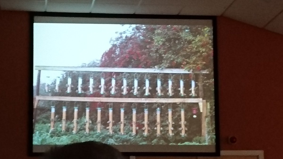 AilidhBarnes's tweet photo. Bird feeding at its best! #BTOconf2016 https://t.co/vZiGDaaBql