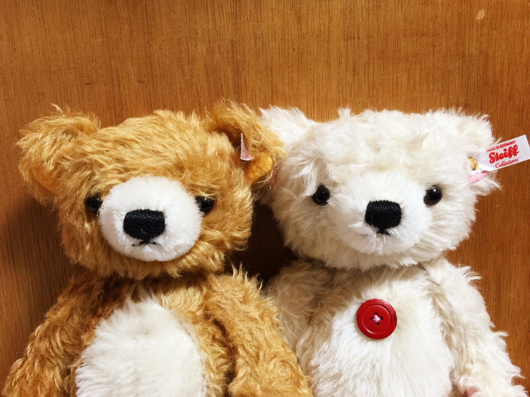 Steiff Korilakkuma (@steiffrilakkuma) / X Steiff Korilakkuma (@steiffrilakkuma) / X