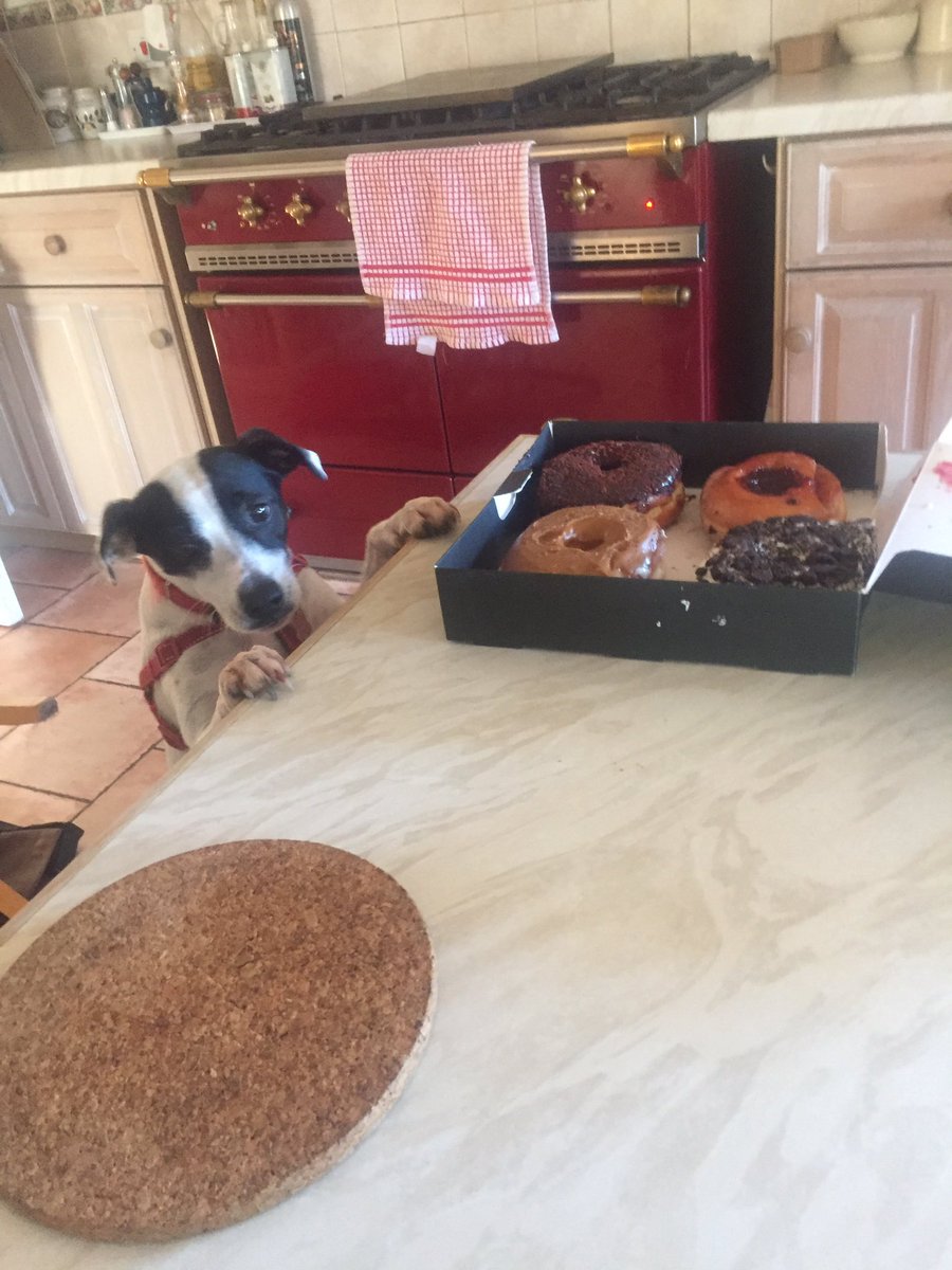 SpotBajpai's tweet image. My Tom Croft/Ben Youngs 'dognuts' have arrived. #whichfirst