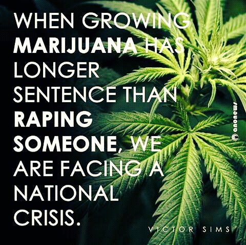 asheno7's tweet photo. #LoveMarijuana #LetsLegalizeMarijuana #Ganza https://t.co/iVIcte3O3q