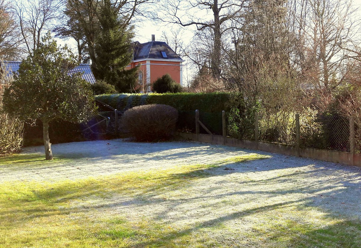 ISB_Arttease's tweet photo. Light this morning: Jack Frost was here! Then the sun, warmth, casting blue shadows on the bright green lawn. #mslearns #LightinArt @ISB_MS https://t.co/eadBDI1TwZ
