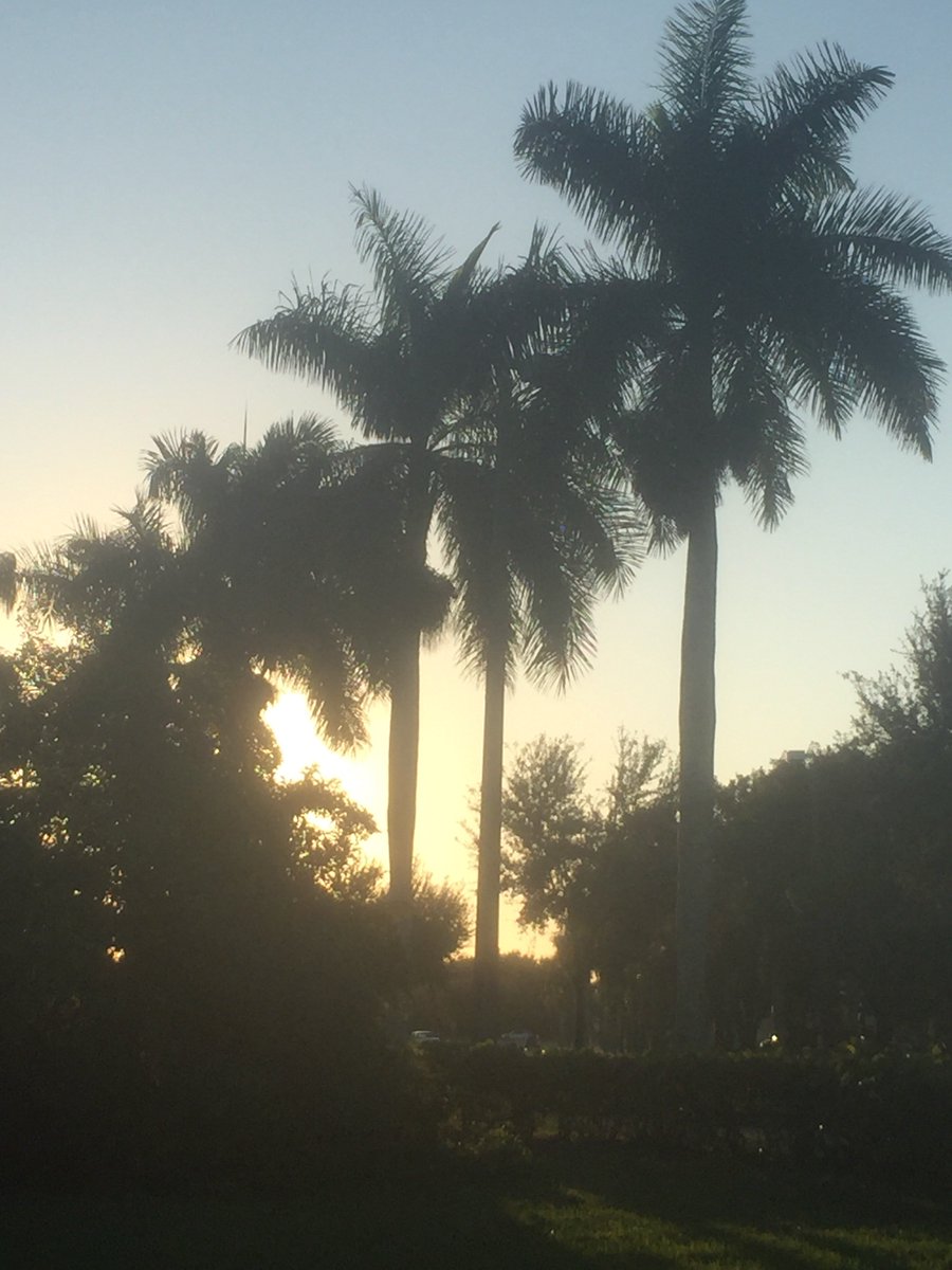 bcrumbs's tweet photo. My view on the morning. https://t.co/rc8YpeGiEm