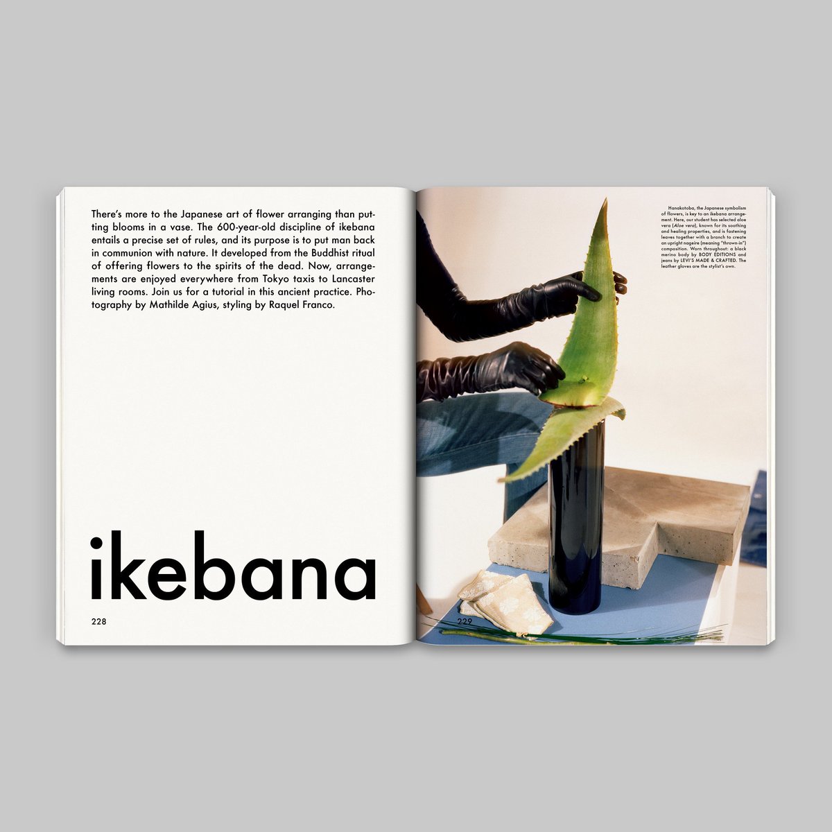 thegentlewoman's tweet photo. Ikebana Sunday. 
Photography by #MathildeAgius. #TGW14 https://t.co/TxbCdZeZOC
