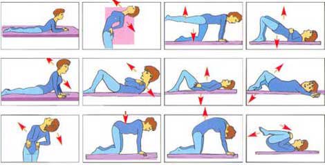 physiocaren1's tweet photo. تمارين علاج تقوس الظهر. https://t.co/jZDjXmm7WC