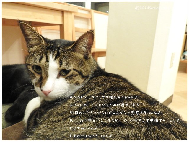 Twitterで画像を見る