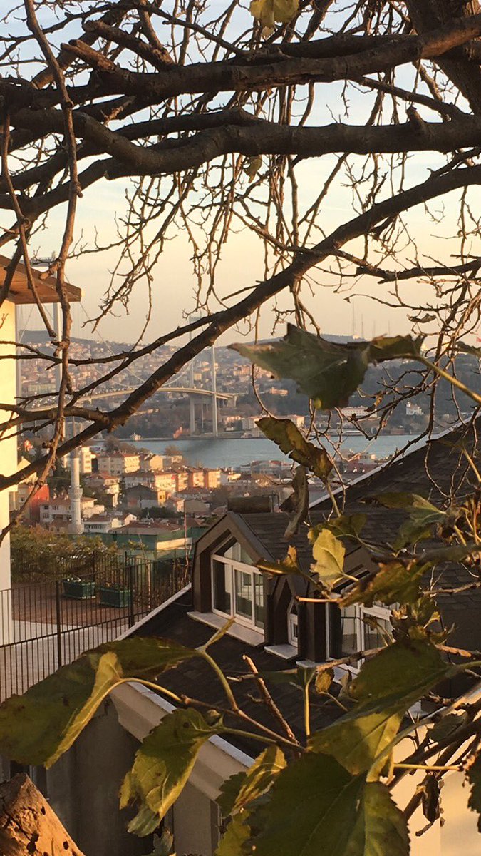 AlbaClave's tweet photo. Beautiful istanbul!!!! https://t.co/BlfR3o7Fjy