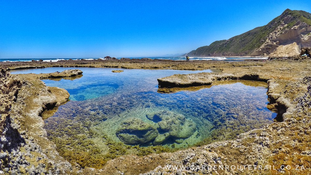 CoastalWalk's tweet photo. Azure #rockpools at #Gericke's Point near #Sedgefield in the #gardenroute #SouthAfrica #gopro #traveltips #grt2016 https://t.co/D8U5crIDEp