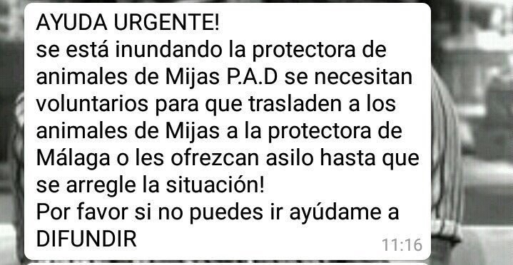 En Málaga necesitan ayuda :(
#trombaMLG