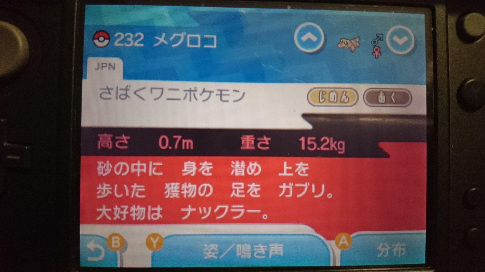 かおりヽ ノ ナックラー W あんた 喰われる側だったんかい ポケモンサンムーン メグロコ ナックラー 捕食 T Co Hcaoxac1cq Twitter