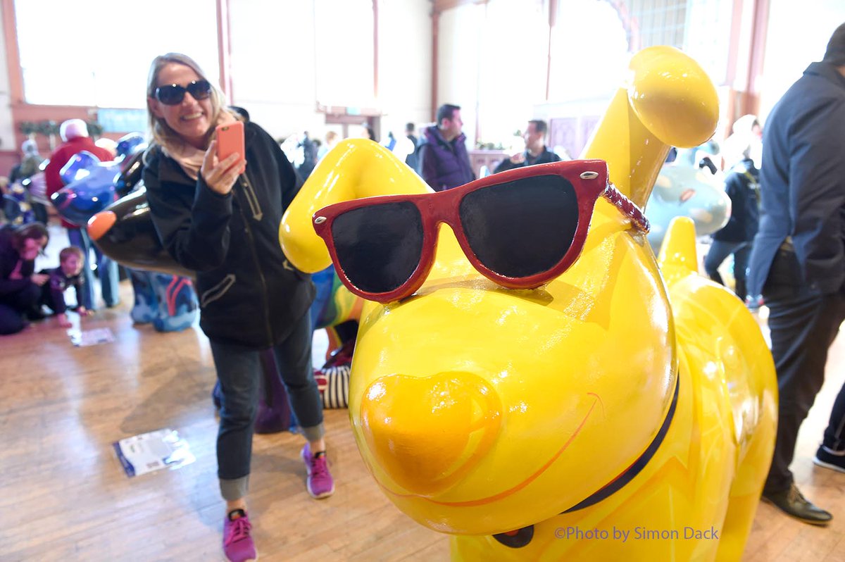 simondackpix's tweet photo. The Snowdogs gather before being auctioned off on Tuesday @SnowdogsBTS @Vervate @Argus_FloraT @MissEm_Martlets @martletshospice #Brighton https://t.co/oqUij8sy0E