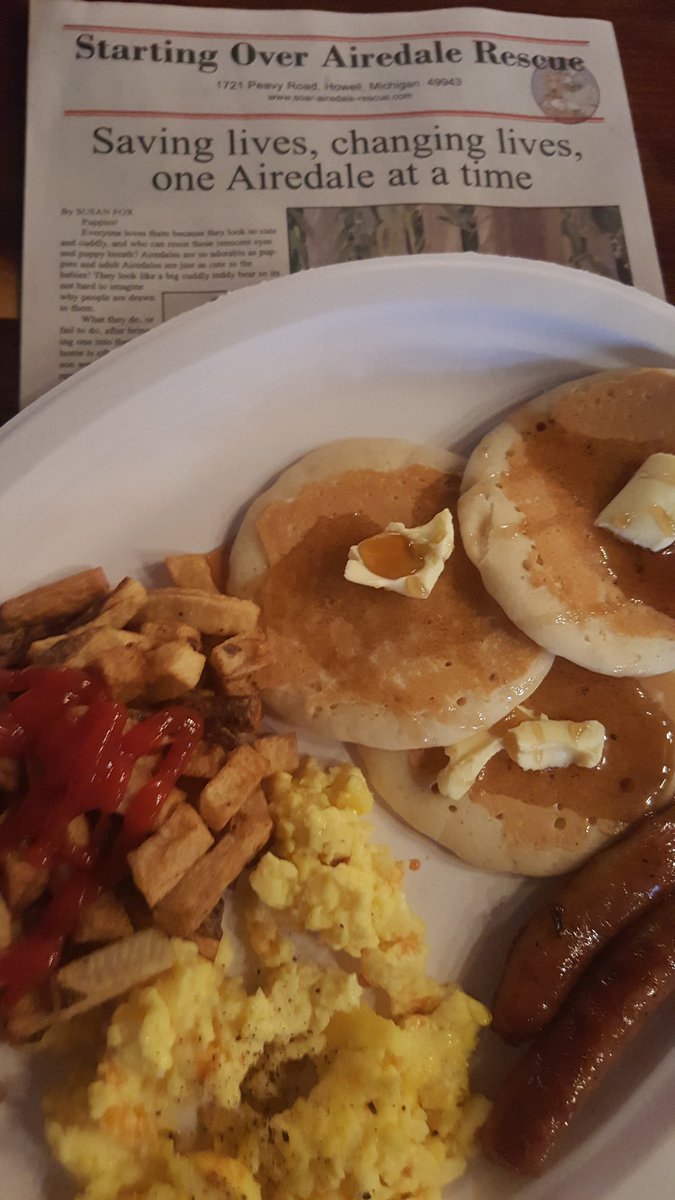 timothywells's tweet photo. AYCE pancakes? fund raiser for starting over Airedale rescue? you betcha! @mojostroy #troyohio #pancakes #airedale #rescue #pancakesforpups https://t.co/VopNGrsKnT