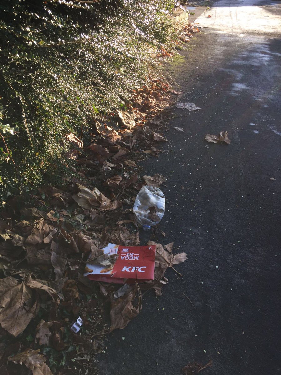 cleanfishponds's tweet photo. @KFC More litter on Radley Road, less than 100m from your outlet. #Fishponds #Bristol @BristolCouncil https://t.co/QWHSgAoUS3