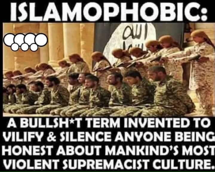 jerryldavis2010's tweet photo. OneOfTheWorst #HumanBullshit TermsInventedBy #CulturalMarxists ToSilenceAmericansWhoReject #RadicalIslam @CNN @MSNBC https://t.co/cedZ1YrUpp