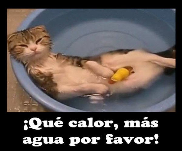 #AMIGOSSINCEROS🏖🍸🍻😘
#1As181
#AmS  
<a href="/hey_lola64/">hey_lola64</a> <a href="/yquintero2409/">yuris quintero</a>  
@Ingridgomezok1 <a href="/BeyMi86/">Rex 🙌</a>
<a href="/zepringames/">今吉光二</a>  <a href="/RT4GT/">#seguimeytesigo</a>
<a href="/MarcelaRocha_25/">Veró</a> <a href="/Ap42Lita/">litinha.ap🇧🇷🤩</a>