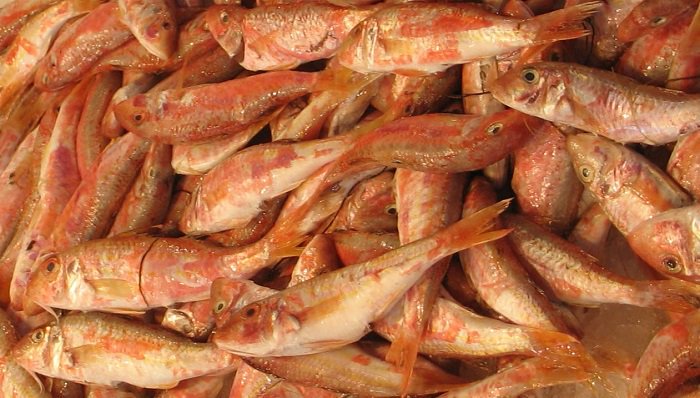 Lempe (@plebetlis) on Twitter photo 