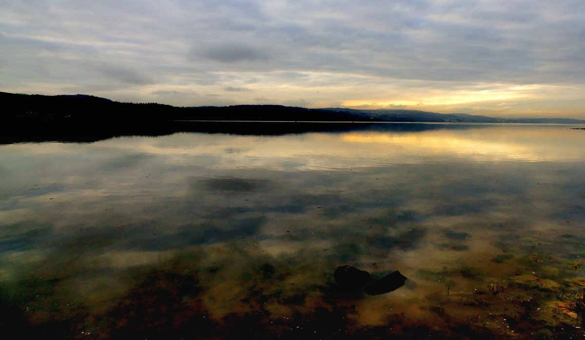 clearwoodphoto's tweet photo. A wee visit to Levengrove Park in Dumbarton #Scotland #December #Photography #Lumix #FX1000 #VisitScotland https://t.co/3eRFyvVq5t