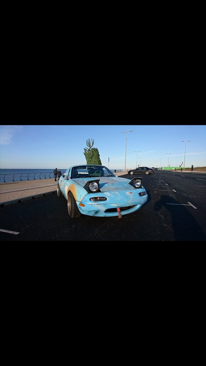 Fy7Trees's tweet photo. A quick pic from 1 of our happy customers! https://t.co/Dh0OWJNL1I