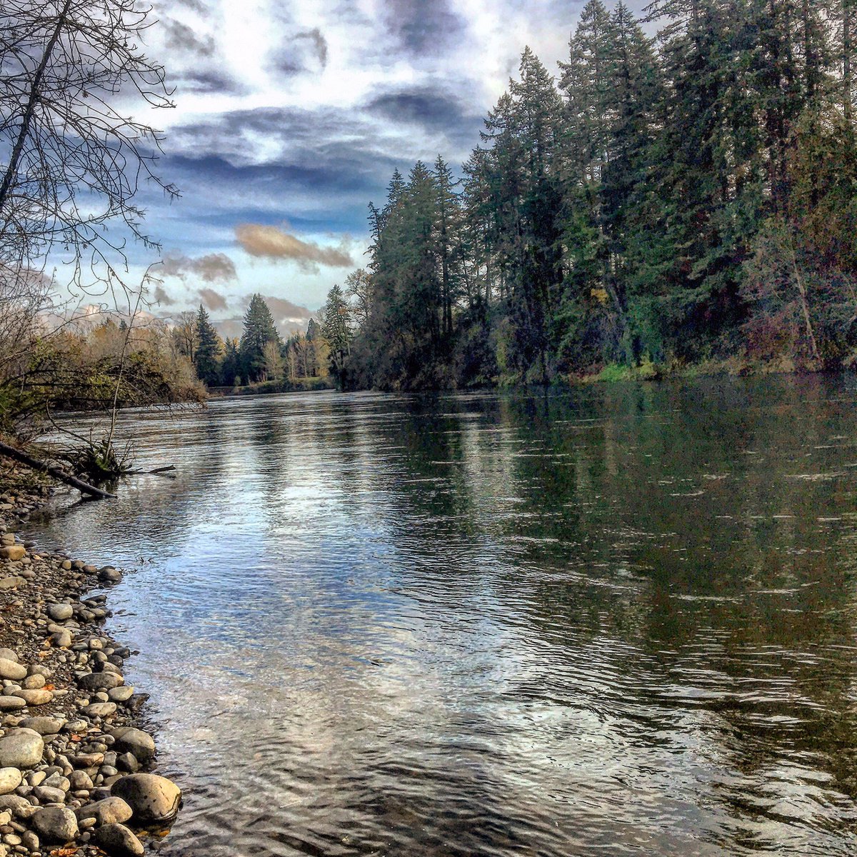 SeanPMartin's tweet photo. #Stlhd #lamiglasrods #handhoutfitters #theclack https://t.co/NCzt0zWQVG