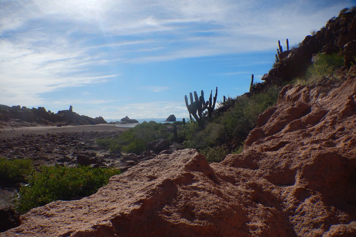 Adventure with <a href="/TravelwithTam/">TravelwithTam</a>  ow.ly/DOtK306IfFk #Baja #Mexico #adventuretravel #exploremore #scuba <a href="/REDTravelMx/">RED Travel México</a> <a href="/TravelWithSara/">Travel With Sara - Sara Broers</a>