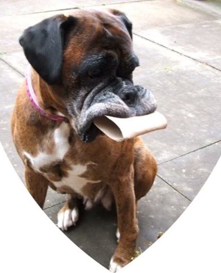 PamPammyjean's tweet photo. @caspertissue always running out of loo rolls https://t.co/zlKjuxy8Xr