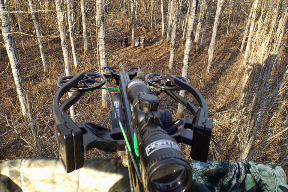 MoonGuideHunter's tweet image. If a bear is on your list this season, look at these 5 Crossbow Strategies For Big Bruins - bit.ly/1MtfJS5