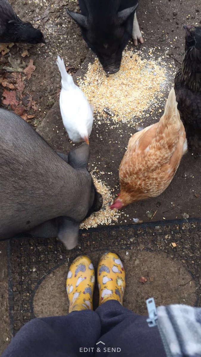 Breakfast with my babies ❤️