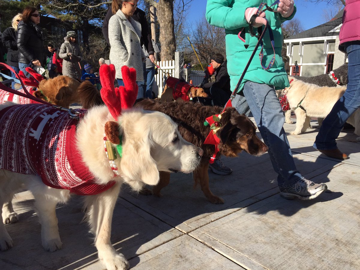AdamSextonWMUR's tweet photo. 4th Annual Pooch Parade in Exeter #WMUR https://t.co/BTbVnlW5no