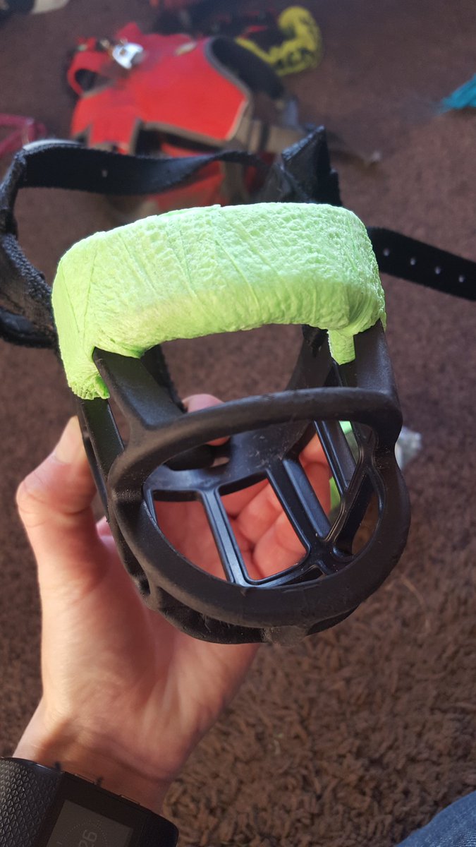 Nellnco's tweet image. Gone for a Vetwrap that's a bit more "festive" for this month! #muzzletraining #muzzleup #dogtraining