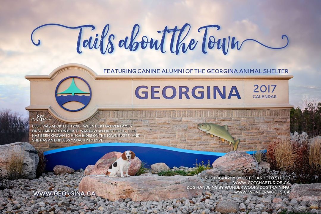 Town of Georgina tweet media