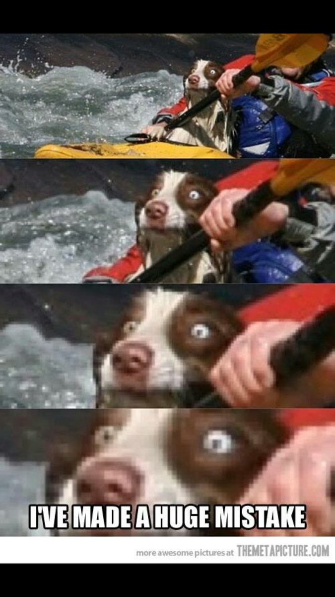 River Shack tweet media