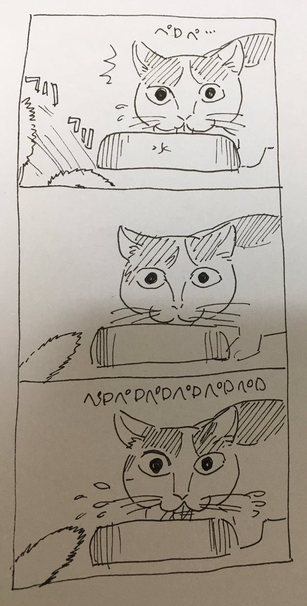 水が飲みたいけどおもちゃが気になるけど水が飲みたい猫 