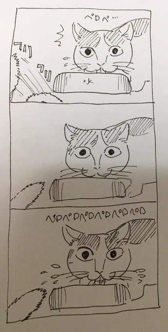 水が飲みたいけどおもちゃが気になるけど水が飲みたい猫 